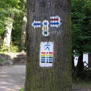 Park Bażantarnia w Elblągu