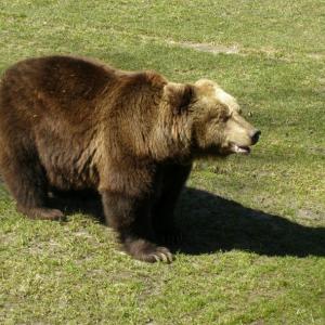 Akcent ZOO w Białymstoku
