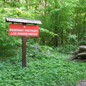 Rezerwat Las Zwierzyniecki w Białymstoku