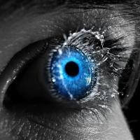 Avatar użytkownika Anonim