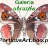 Avatar użytkownika pawel050686