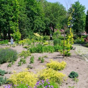 Ogród Bytomski i Miniarboretum w Bytomiu