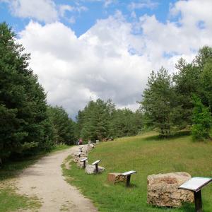 Lapidarium w Podlesicach