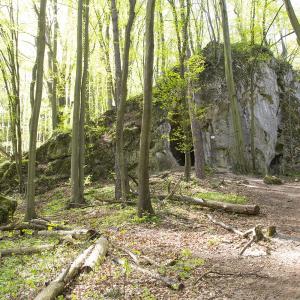 Zamek Ostrężnik