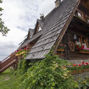 Schronisko na Maciejowej