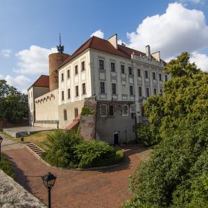 Zamek w Głogowie