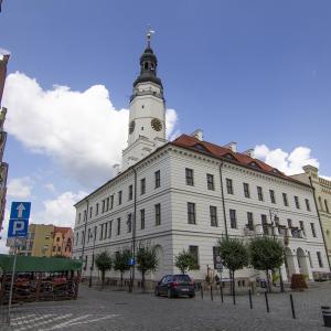 Ratusz w Głogowie