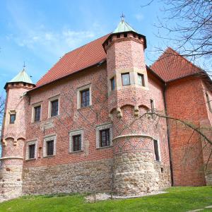 Zamek w Dębnie