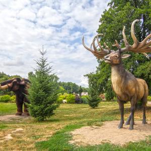 Park Wrocławski w Lubinie