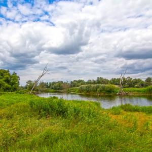 Park Narodowy Ujście Warty