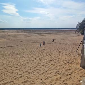 Dąbrówka w Chechle
