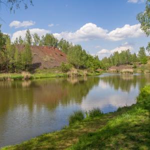 Staw Ajska w Świętochłowicach