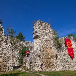 Zamek w Bydlinie