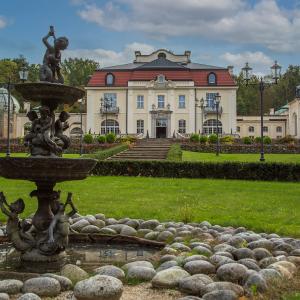Pałac Goetzów w Brzesku