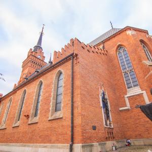 Katedra w Tarnowie