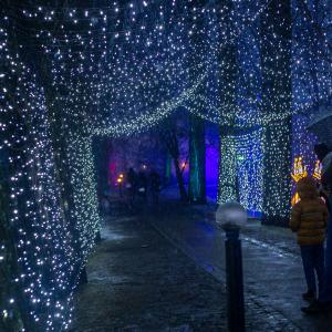 Park Iluminacji Zamek Topacz