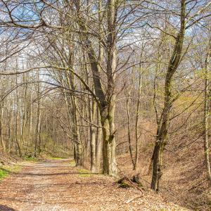 Park Krajobrazowy Góra Św. Anny