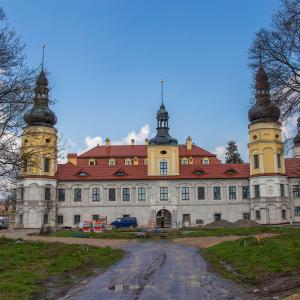 Pałac w Żyrowej
