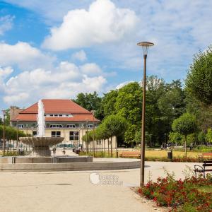 Park Centralny w Świdnicy