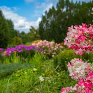 Ogród Botaniczny w Łodzi