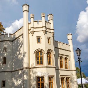 Pałac w Bytomiu Miechowicach