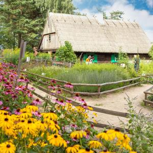 Skansen w Olsztynku
