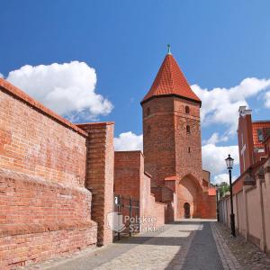 Lębork