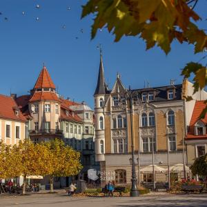 Rynek w Pszczynie
