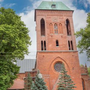 Katedra w Kamieniu Pomorskim