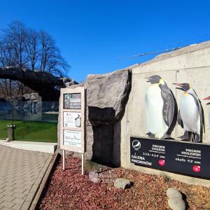 Zoo w Chorzowie