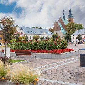 Olkusz
