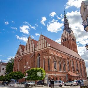 Katedra w Elblągu