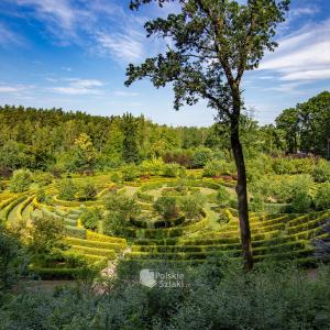 Arboretum Bramy Morawskiej w Raciborzu