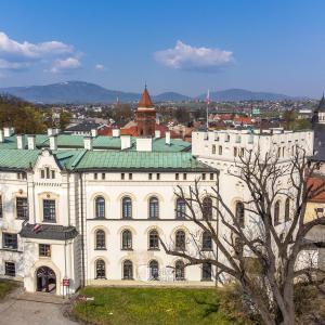 Zamek w Żywcu