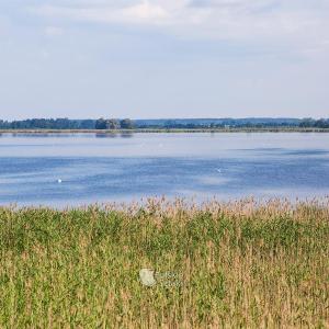 Rezerwat Łuknajno w Mikołajkach