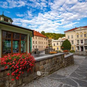 Jedlina-Zdrój