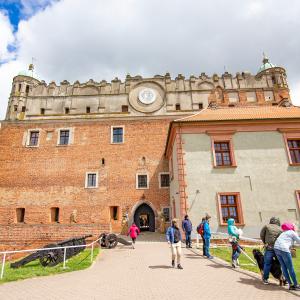 Golub-Dobrzyń