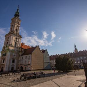 Prudnik