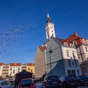Rynek w Prudniku