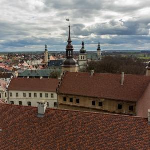 Głogówek