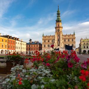 Zamość