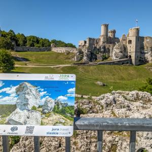 Ogrodzieniec