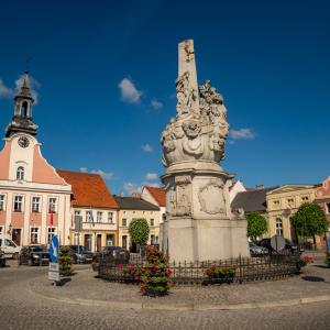 Rydzyna