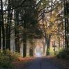 Górznieńsko - Lidzbarski Park Krajobrazowy, Kuba Terakowski
