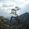 Pieniny, Dariusz Lipka