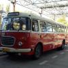 Dni Transportu Publicznego - częśc autobusowo tramwajowa, Grzegorz Binkiewicz