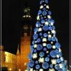  Świąteczny Wrocław, Andrzej Mas