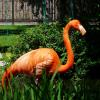 Wrocławskie Zoo, MARTUSIA I ADAŚ