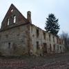 Mycielin - ruiny zespołu parkowo pałacowego., Artur