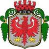 Barlinek, Artur